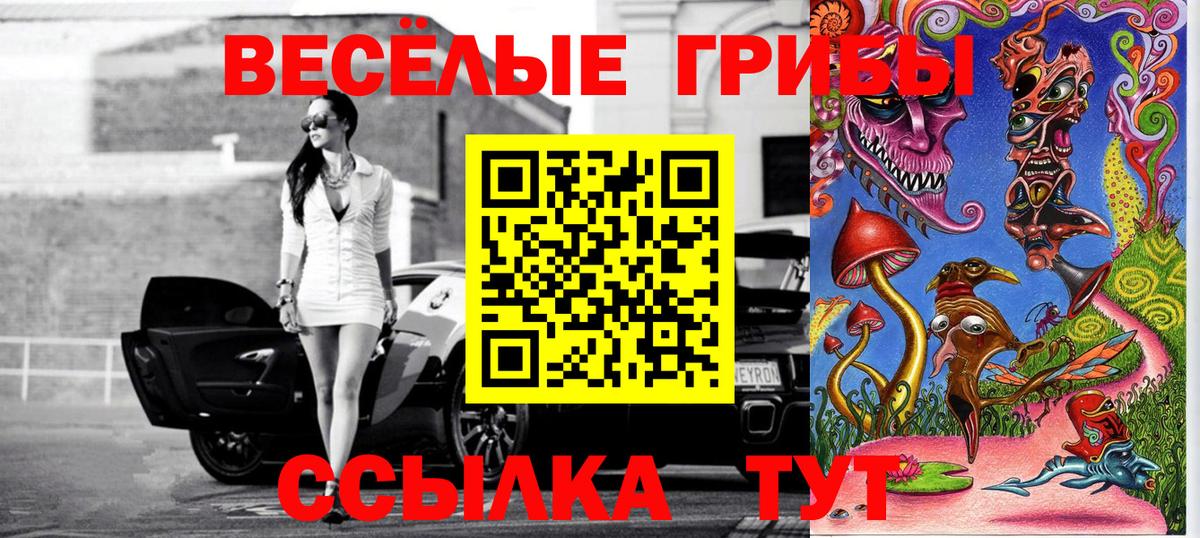 Псилоцибиновые грибы ЛСД Тара