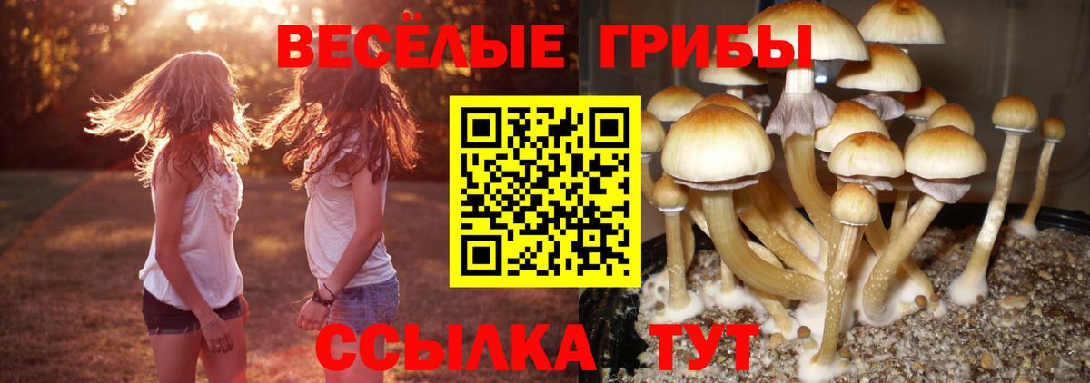 Псилоцибиновые грибы MAGIC MUSHROOMS  магазин  наркотиков  Тара  Вход с VPN 